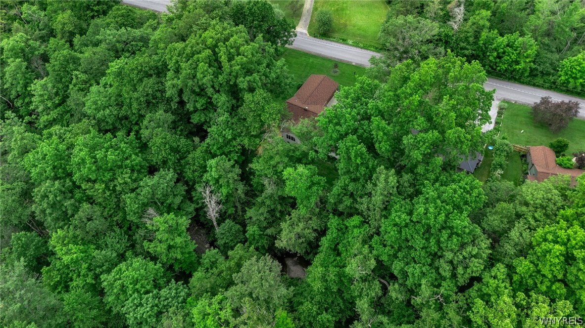 997 Sweet Road East Aurora, NY 14052 - Photo 4 of 50