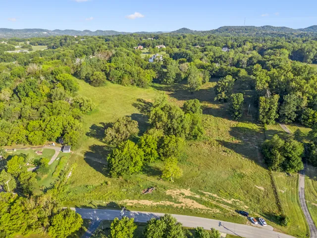 an aerial view of residential houses with outdoor space and trees