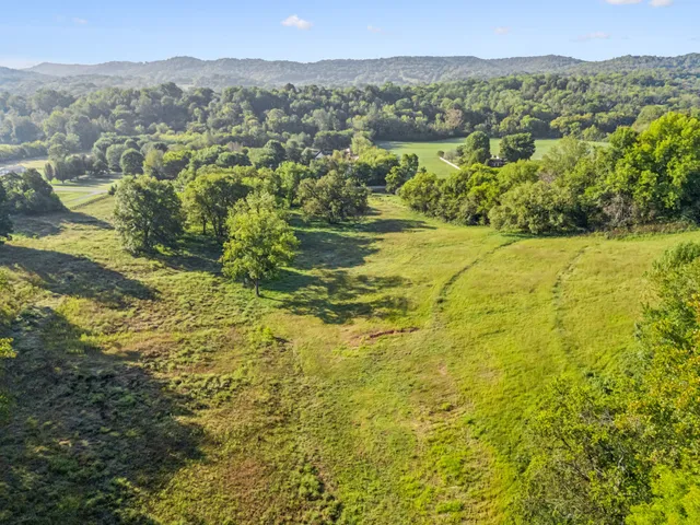 a view of a lake with a mountain in the background