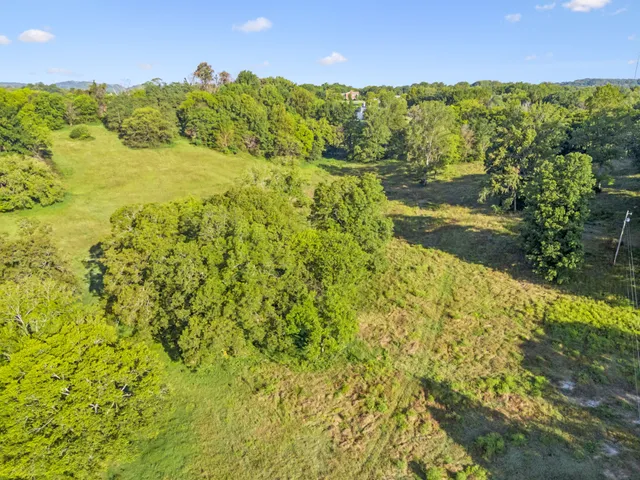 a view of a field with an trees