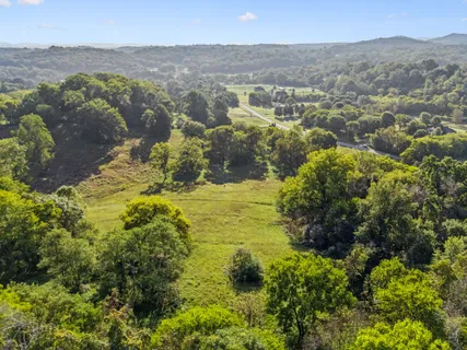 a view of a field with an trees