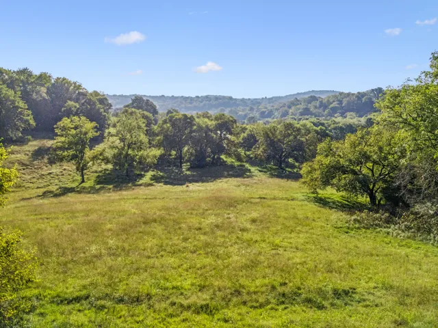 a view of a field with an ocean