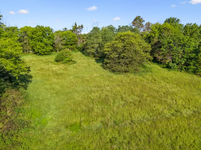 a view of a field with trees in the background
