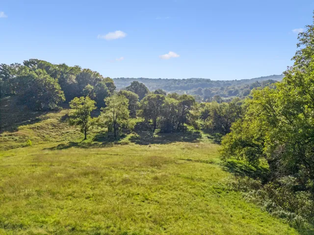 a view of a yard with an outdoor space