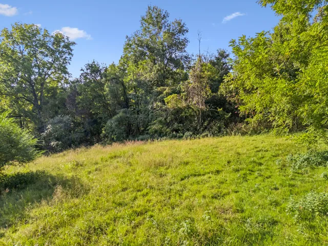 a view of yard with green space