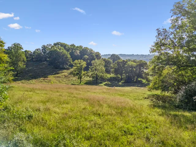 a view of a lake with a mountain in the background
