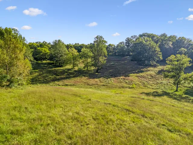 a view of an aerial view of residential houses with outdoor space and trees