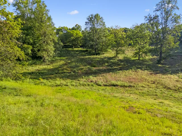a view of a yard with a tree
