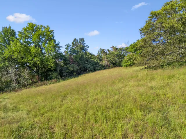 a view of a city with lush green forest