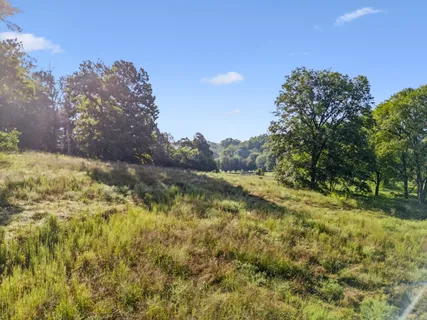 a view of lake and mountain