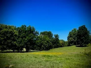 a view of an outdoor space and a yard