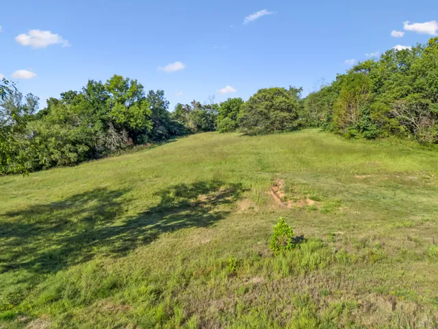 a view of a yard with a trees