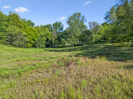 a view of a yard with a tree