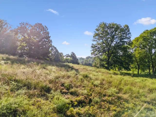 a view of an outdoor space with a lake view