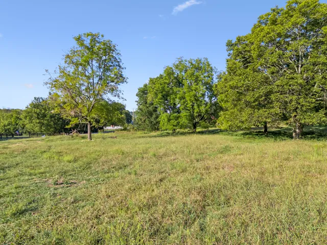 a view of a bunch of trees and bushes