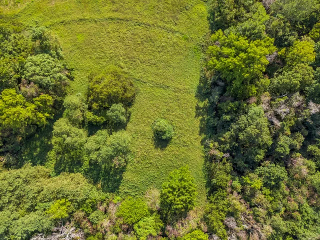 a view of an outdoor space and a yard