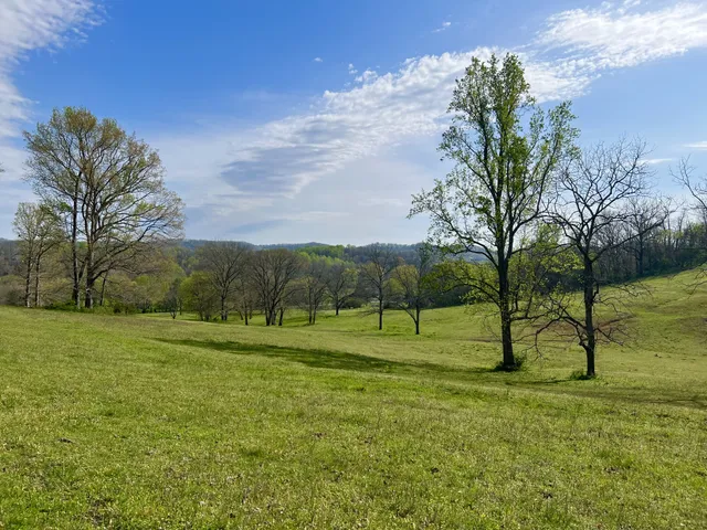 a view of outdoor space with garden and trees