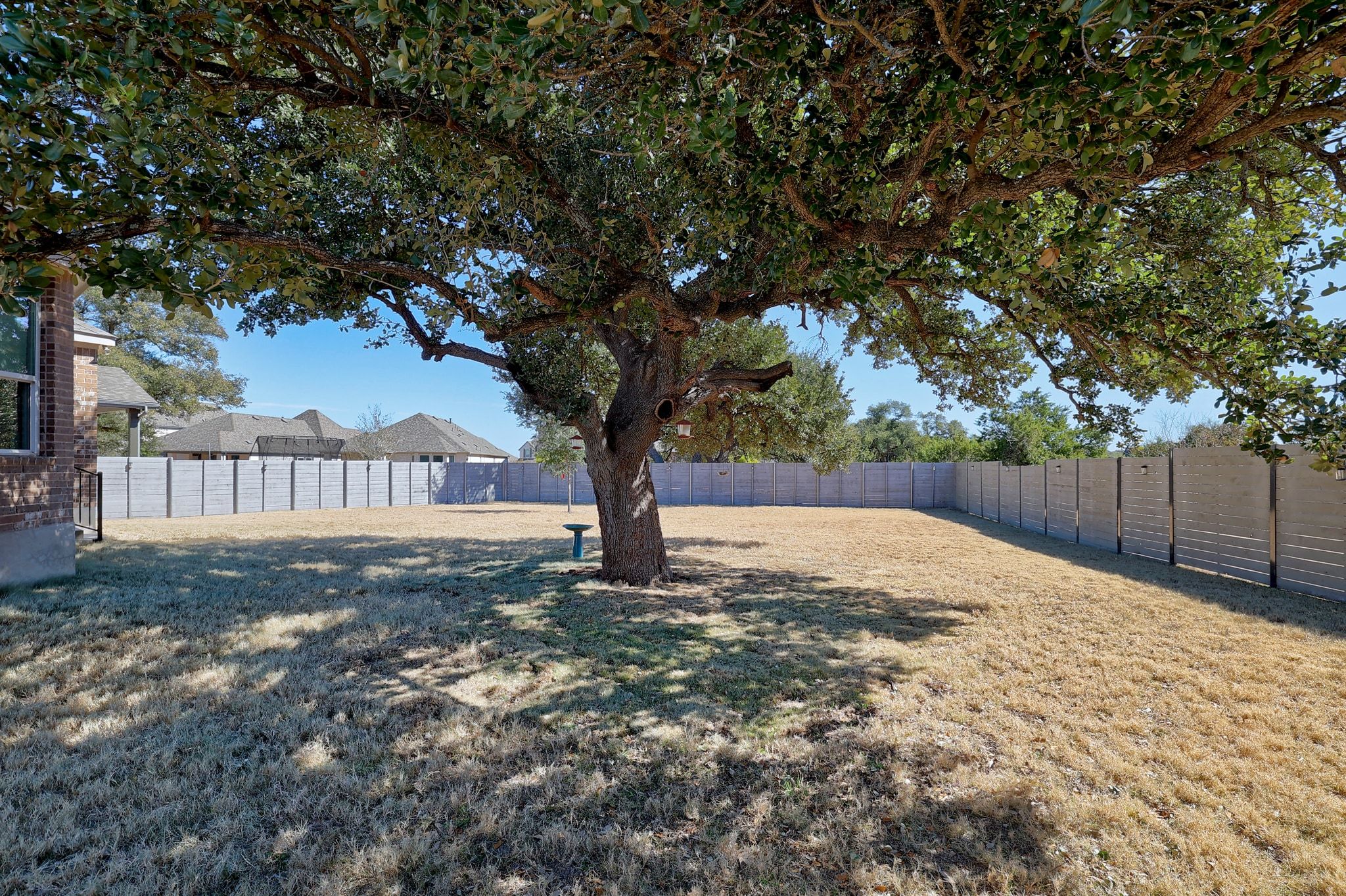 1304 Highcrest Georgetown, TX 78628 - Photo 30 of 32 a view of backyard with tree