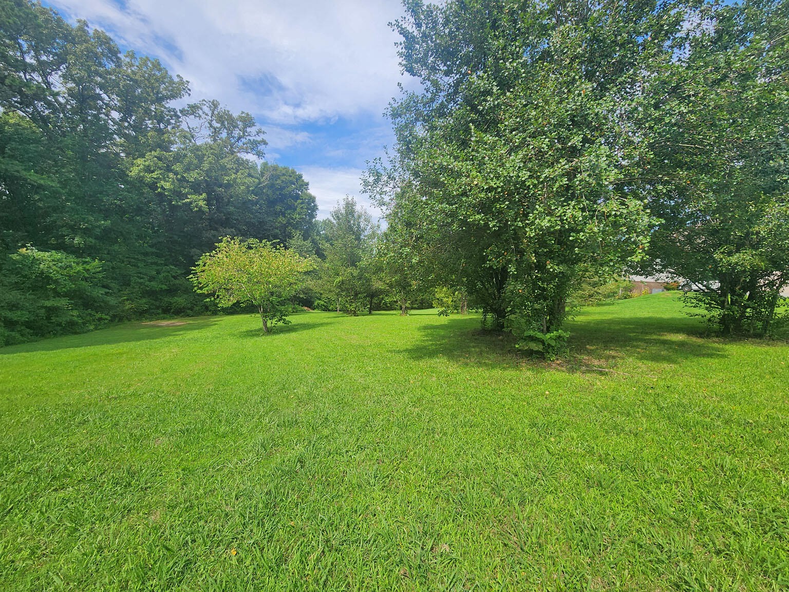 8 Riceland Drive Sevierville, TN 37862 - Photo 8 of 16 a backyard of a house with plants and large trees