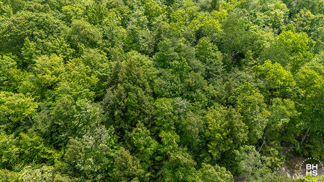 0 Jackson Road Keene, NY 12942 - Photo 8 of 12 LandOnJacksonInKeene_A_Land_Side