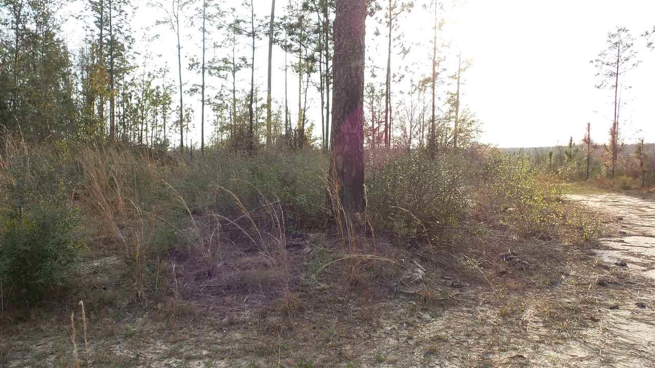 5 Lewis Road Milton, FL 32570 - Photo 12 of 27 Gallery Image 12