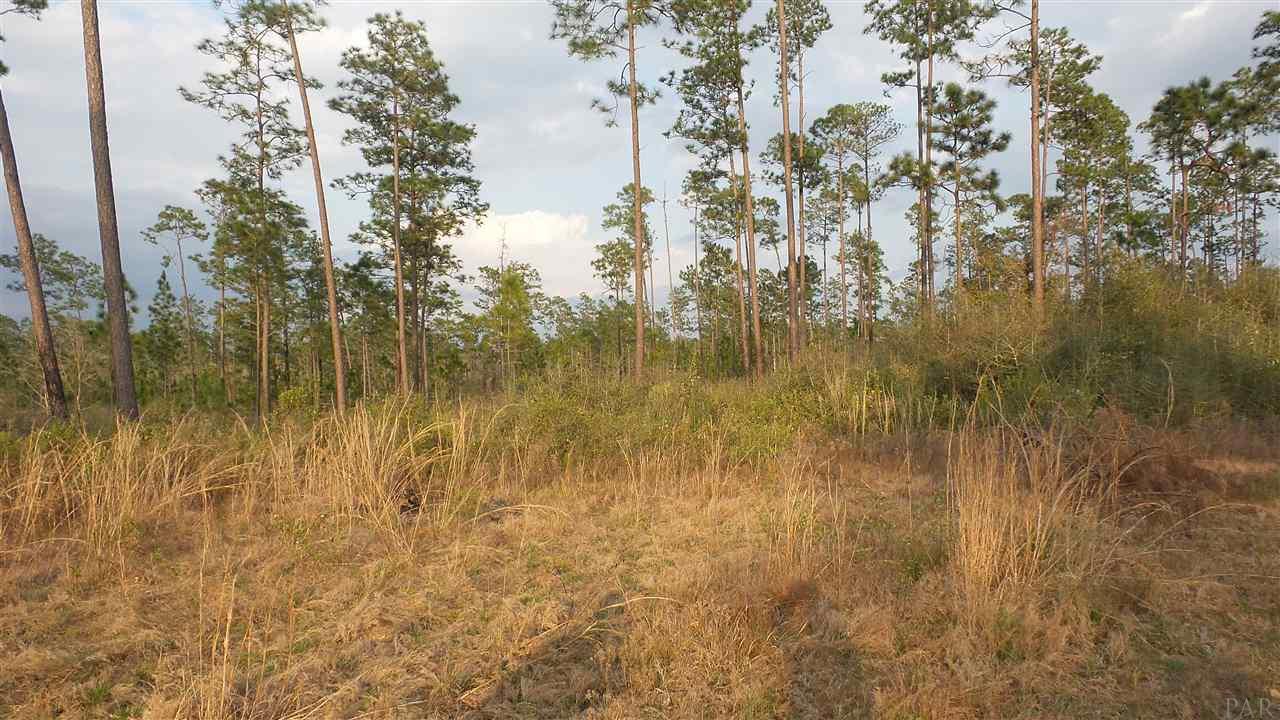 5 Lewis Road Milton, FL 32570 - Photo 13 of 27 Gallery Image 13