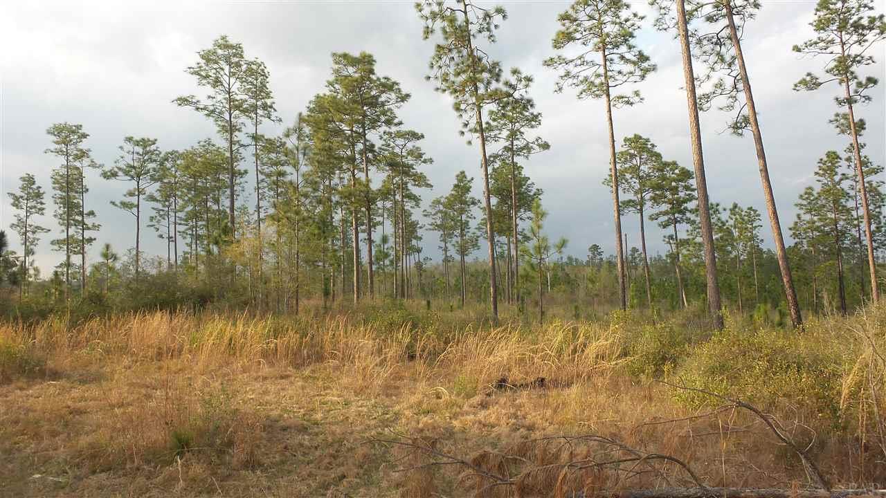 5 Lewis Road Milton, FL 32570 - Photo 15 of 27 Gallery Image 15