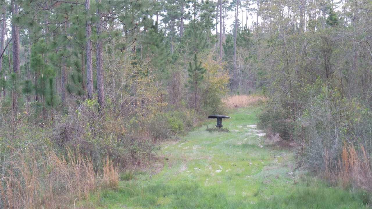 5 Lewis Road Milton, FL 32570 - Photo 3 of 27 Gallery Image 3