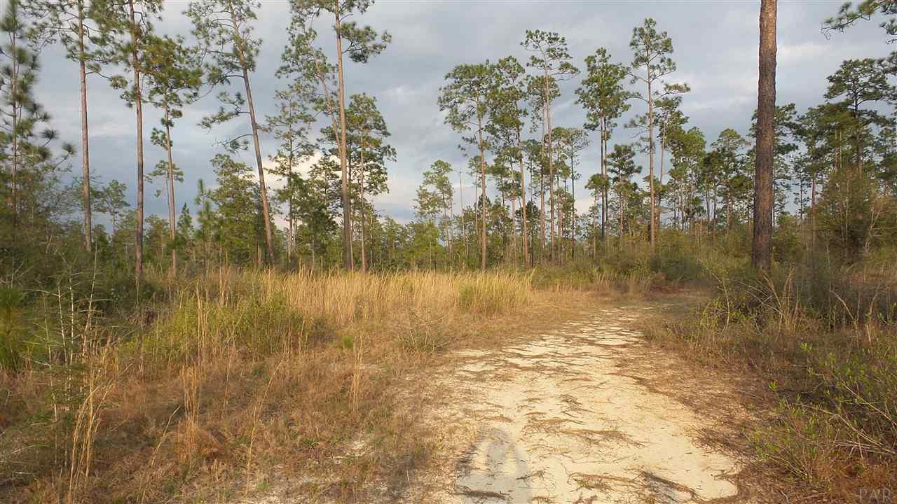 5 Lewis Road Milton, FL 32570 - Photo 5 of 27 Gallery Image 5