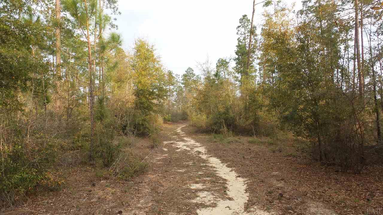 5 Lewis Road Milton, FL 32570 - Photo 7 of 27 Gallery Image 7