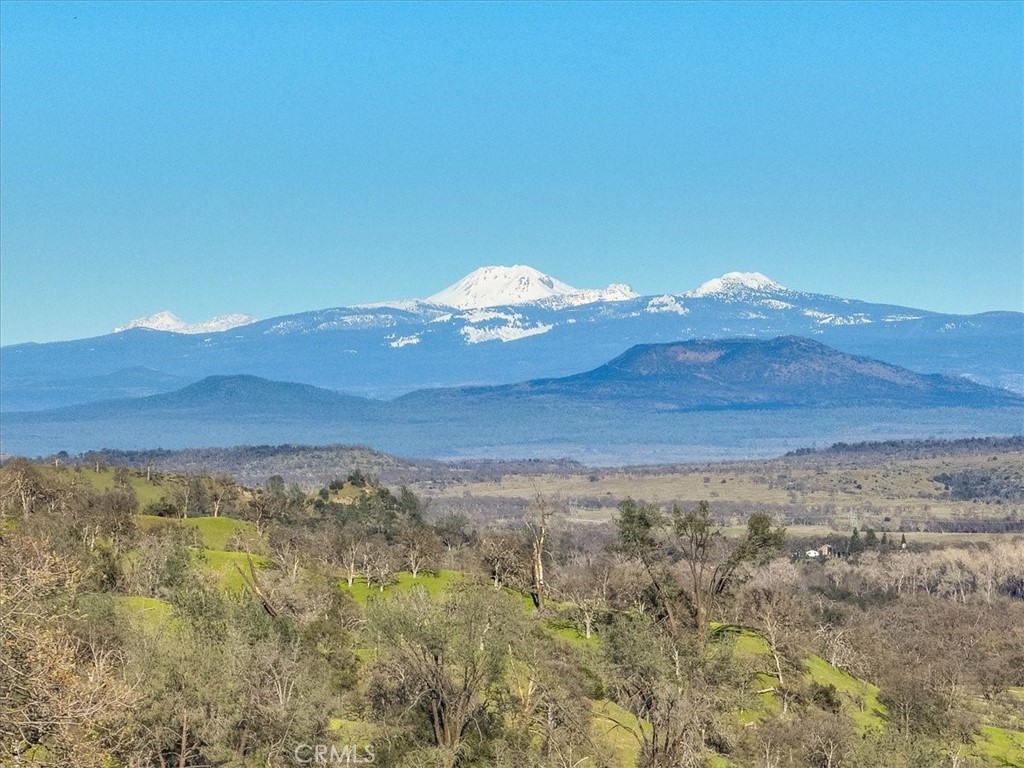 16105 Julie Lane Road Red Bluff, CA 96080 - Photo 52 of 64