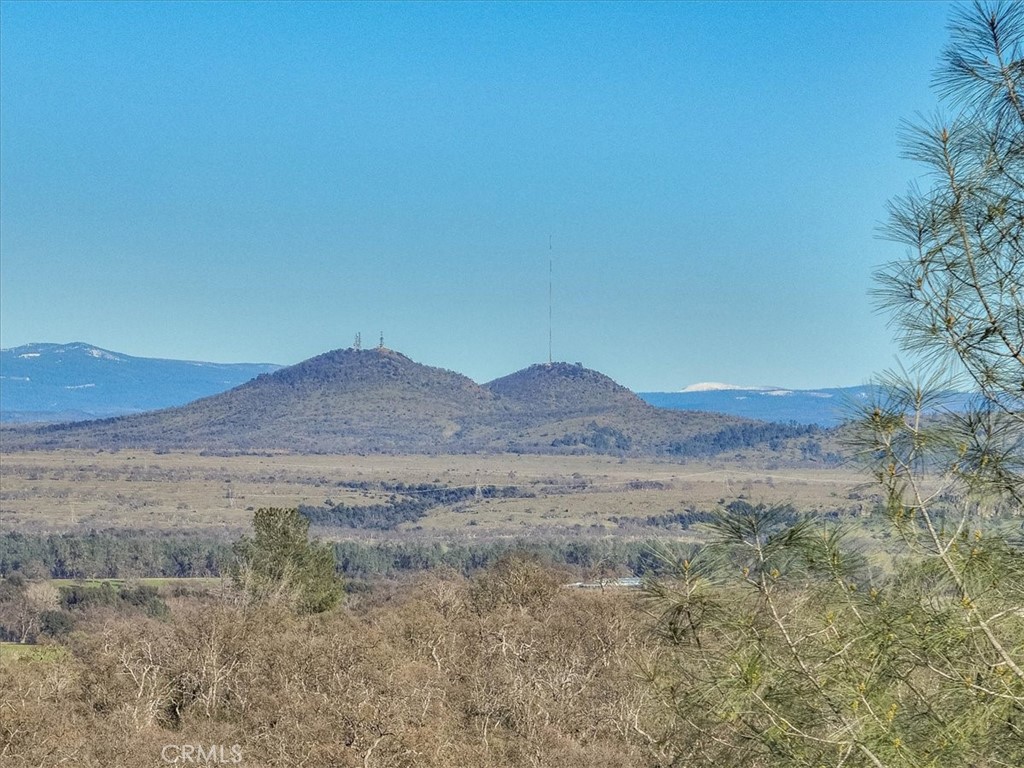 16105 Julie Lane Road Red Bluff, CA 96080 - Photo 53 of 64