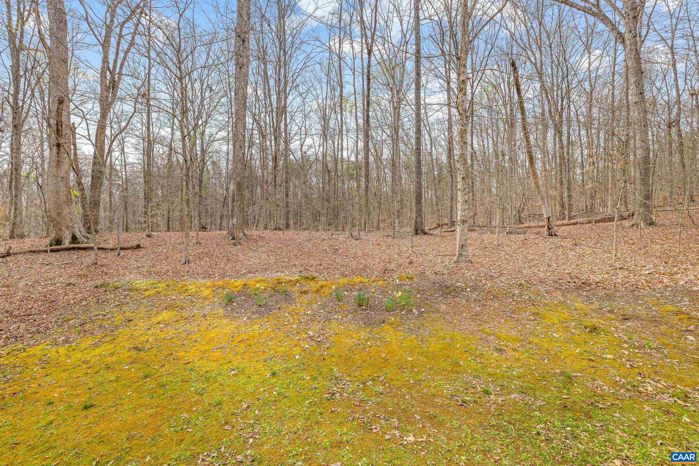 131 Riverside Drive Palmyra, VA 22963 - Photo 40 of 48 Gallery Image 40