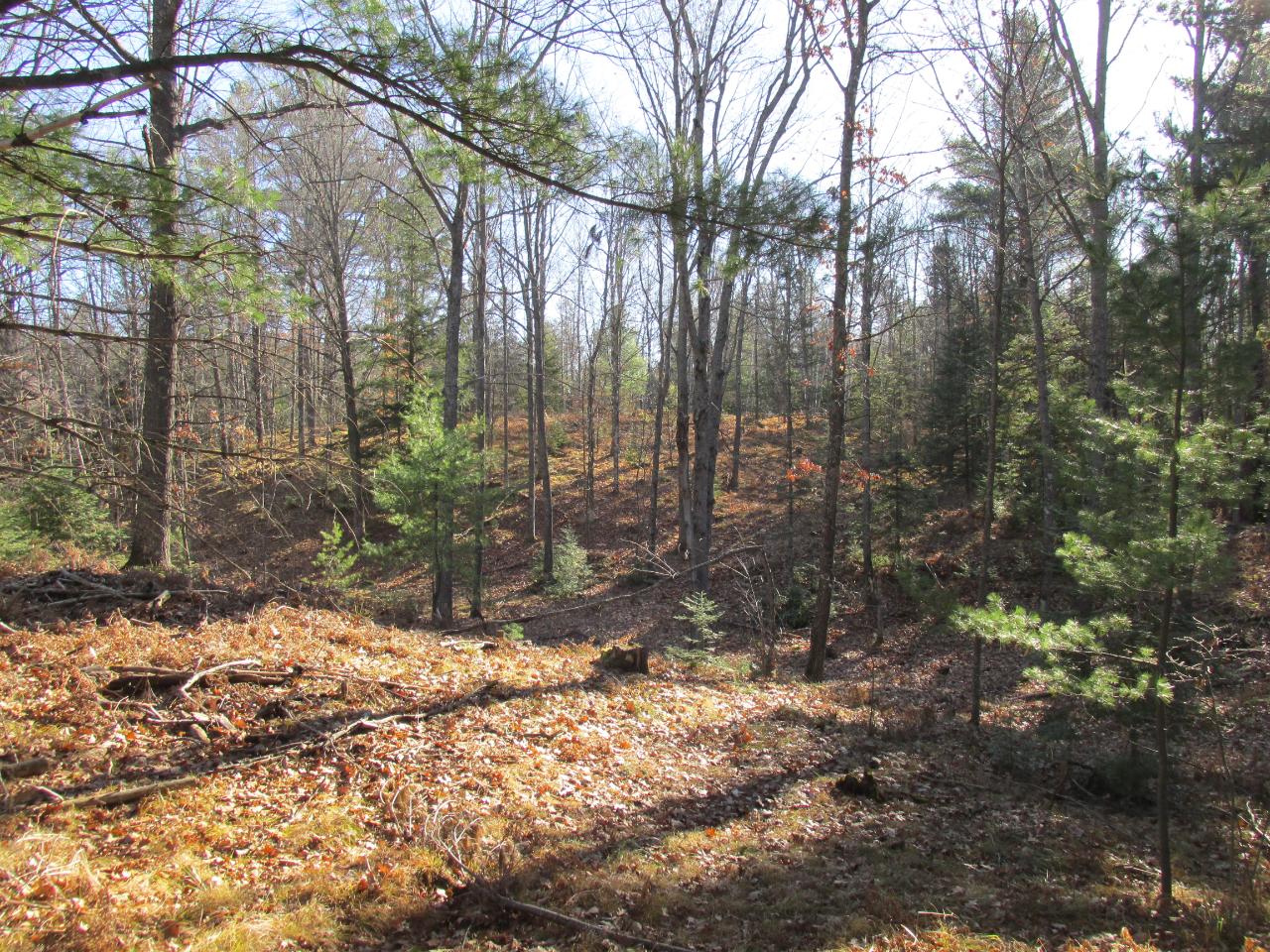 On Wildflower Bay Road Rhinelander, WI 54501 - Photo 11 of 13 Gallery Image 11