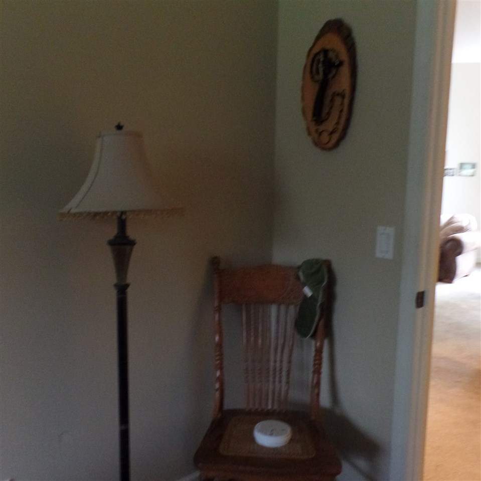 5033 Salt River Road Shepherd, MI 48883 - Photo 29 of 78 1816326-28.JPG