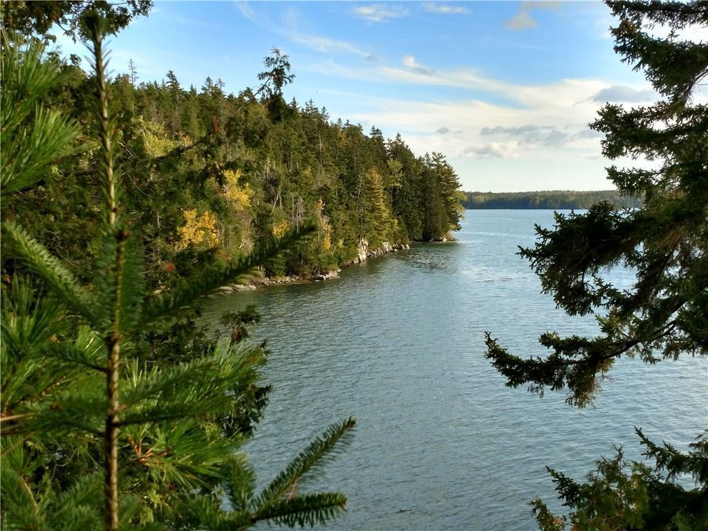 Lot 21-22 Coffins Neck Road Lubec, ME 04652 - Photo 12 of 13 Photo