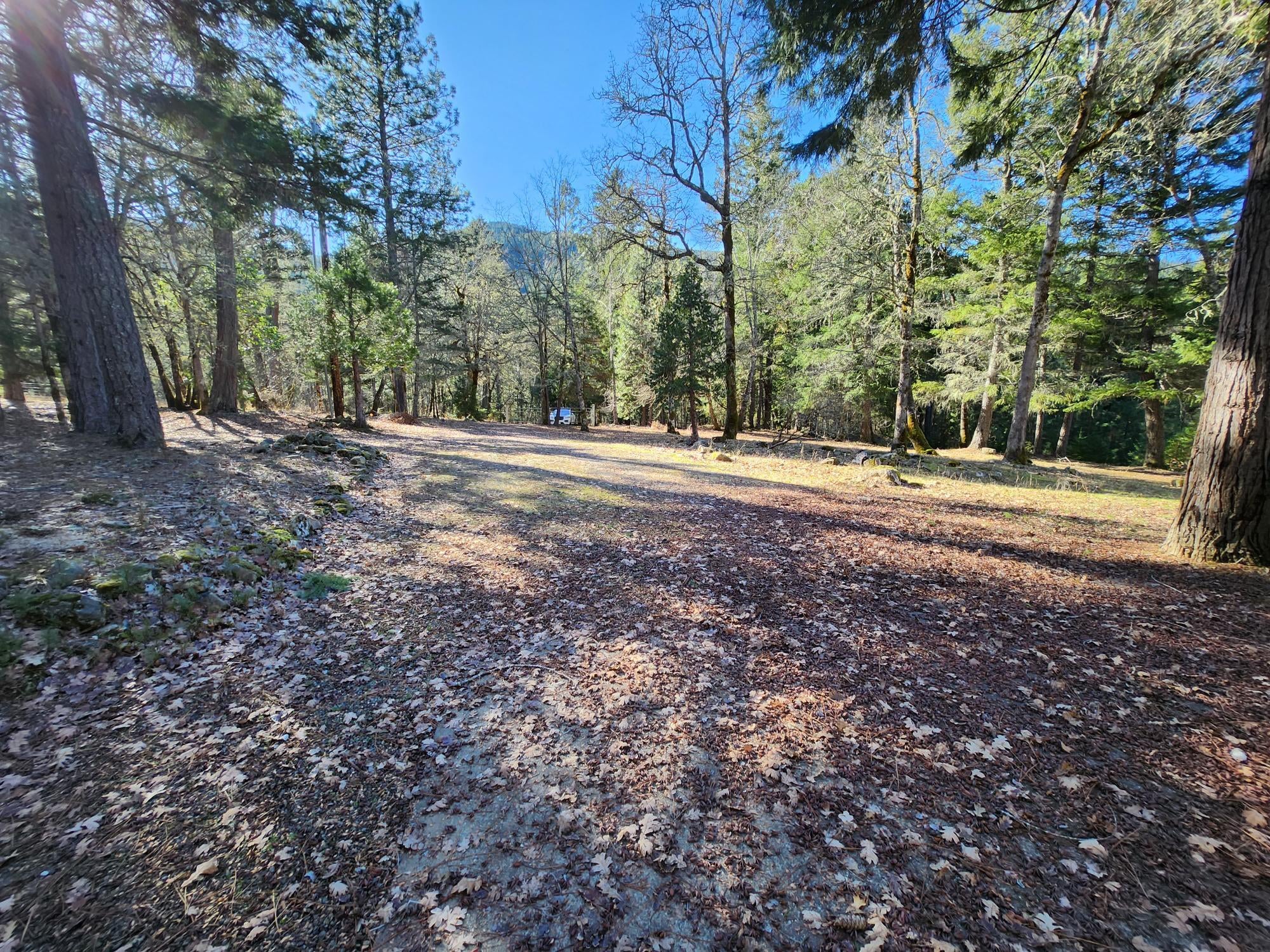 2607 Winona Road Grants Pass, OR 97526 - Photo 7 of 14 20230130_132843