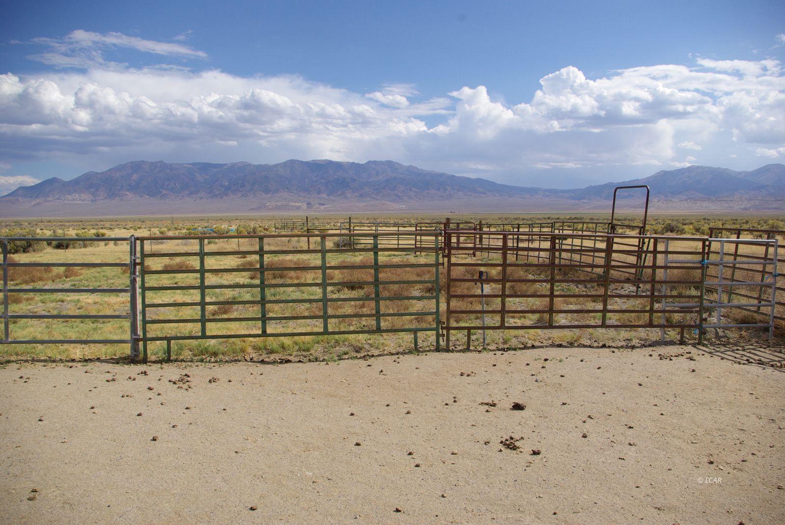 451 Manley Ranch Road Round Mountain, NV 89045 - Photo 31 of 39
