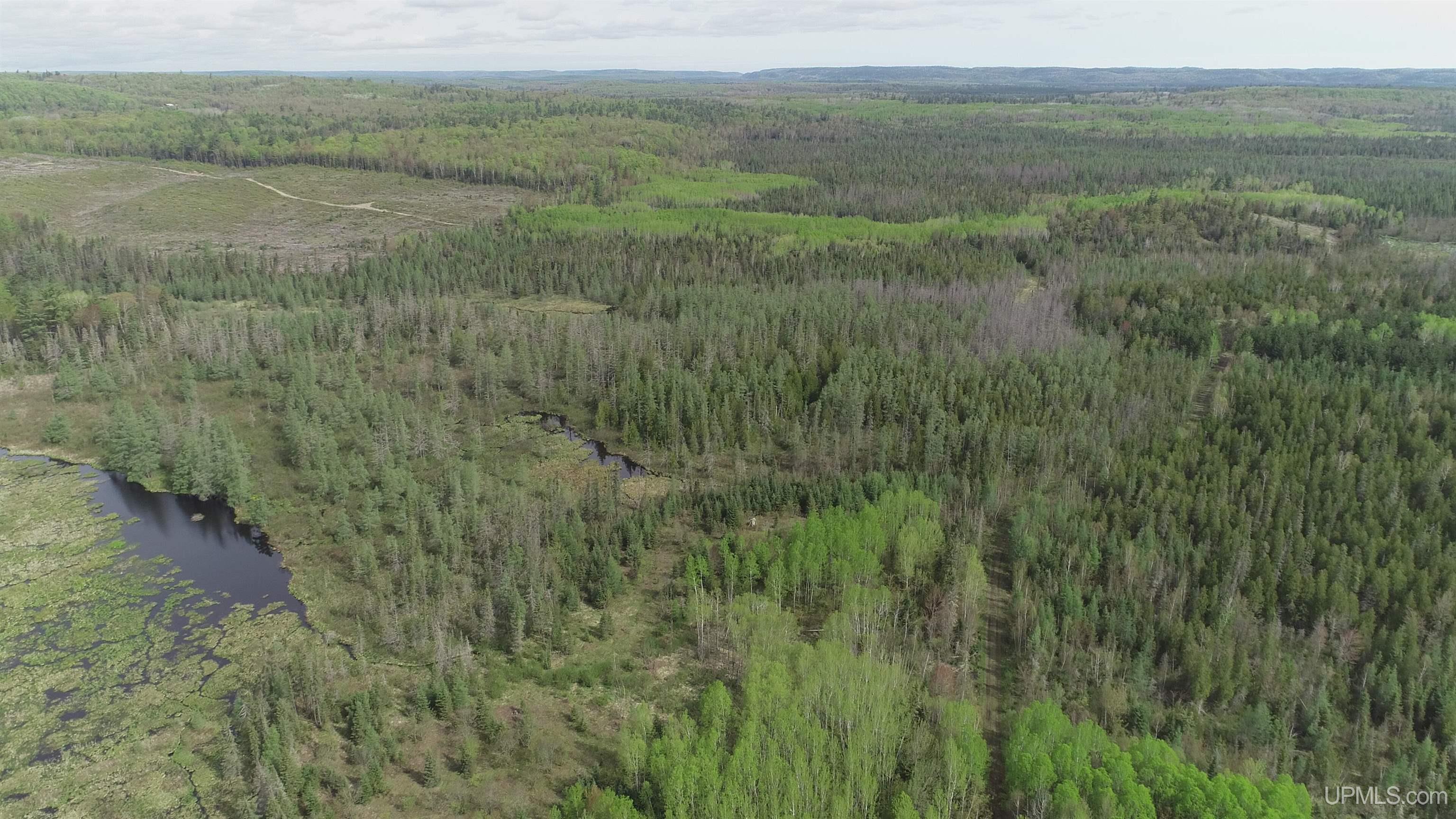 280-acres County Road CCN Road Negaunee, MI 49866 - Photo 21 of 48