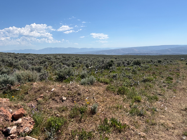 1294 Rattle Snake Ridge Dingle, ID 83233 - Photo 48 of 55