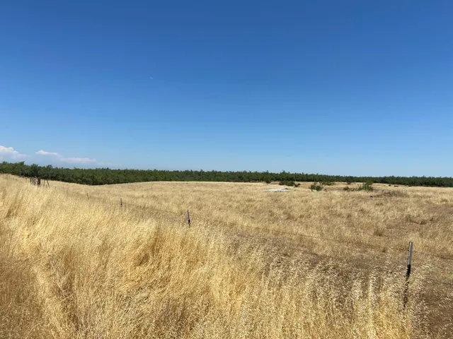 a view of an ocean beach