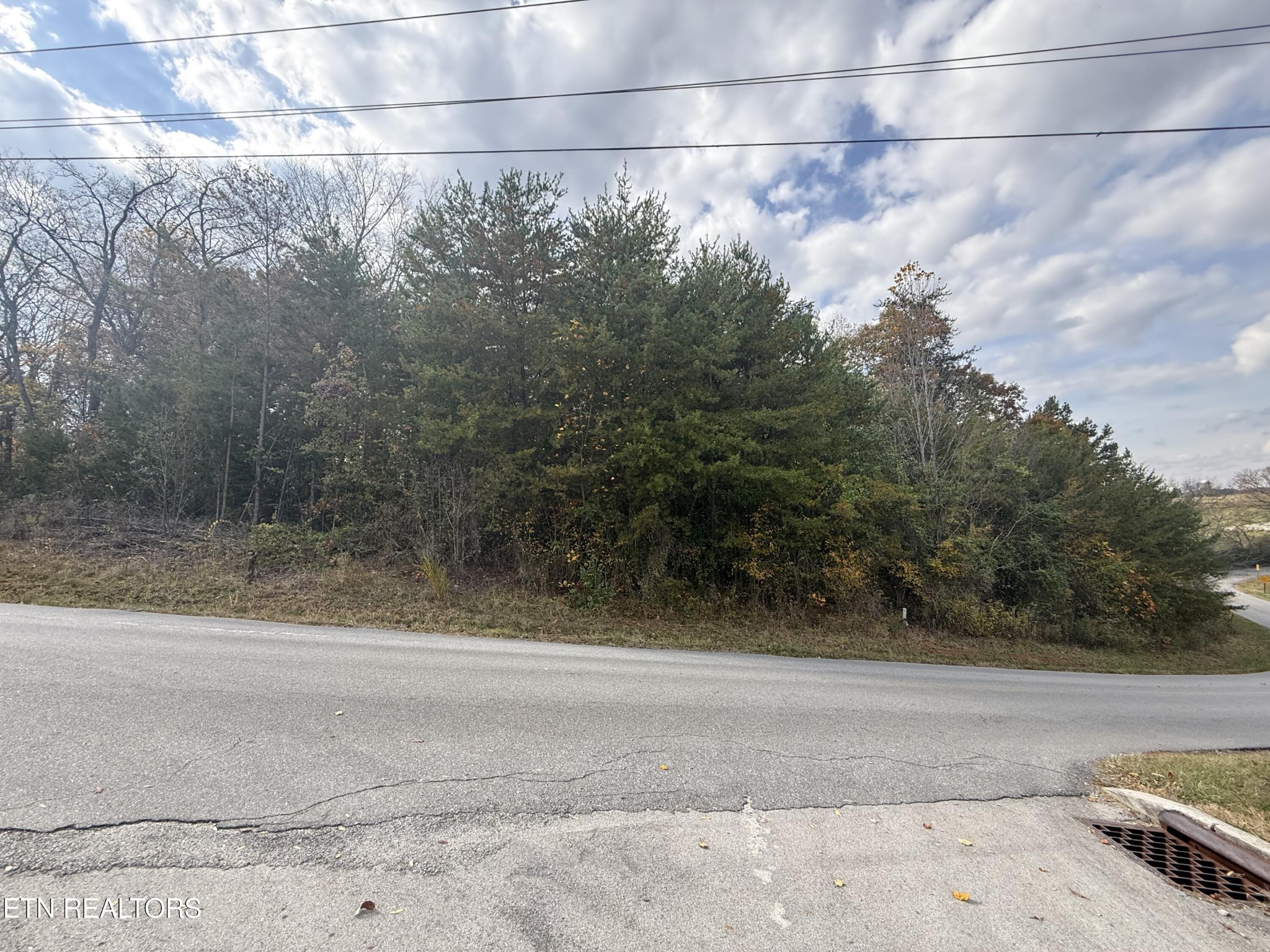 0 Nina Delozier Road Maryville, TN 37804 - Photo 23 of 29 Gallery Image 23