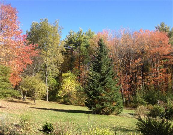15 North Fitzwilliam Road Royalston, MA 01368 - Photo 4 of 30 Gallery Image 4
