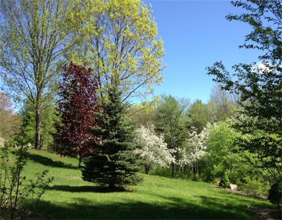 15 North Fitzwilliam Road Royalston, MA 01368 - Photo 6 of 30 Gallery Image 6