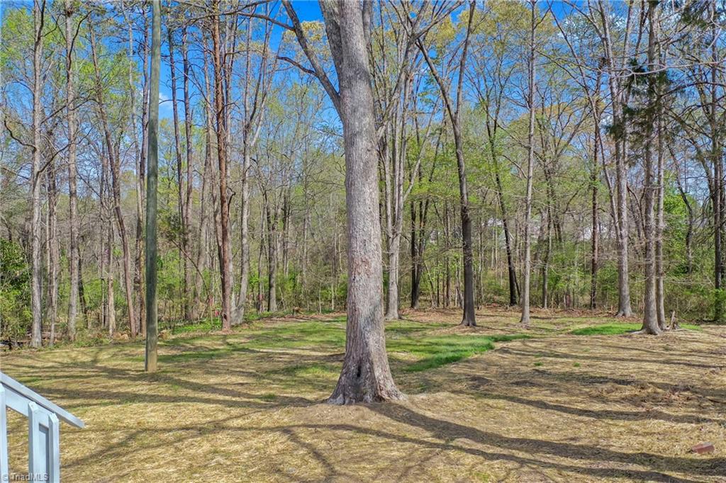 157 Spring Garden Circle High Point, NC 27260 - Photo 40 of 41