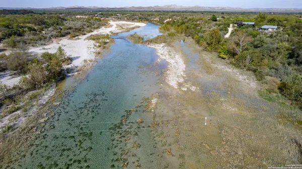 a view of a yard with a large tree