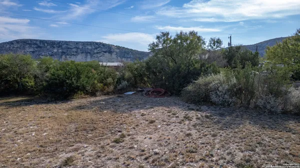 a view of a dry yard with trees