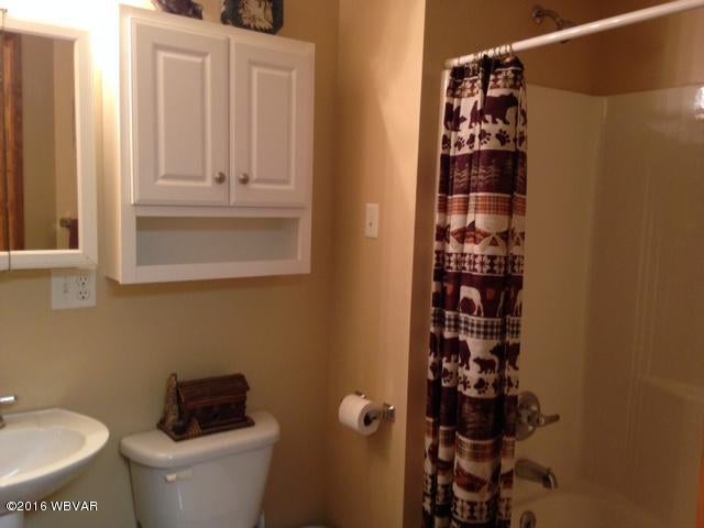 262 Munro Road Mill Hall, PA 17751 - Photo 11 of 15 Basement bath