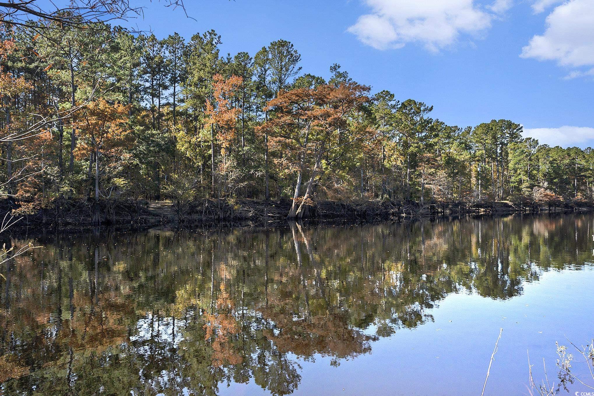 104 Lure Court Conway, SC 29526 - Photo 12 of 23 Water view featuring a heavily wooded area