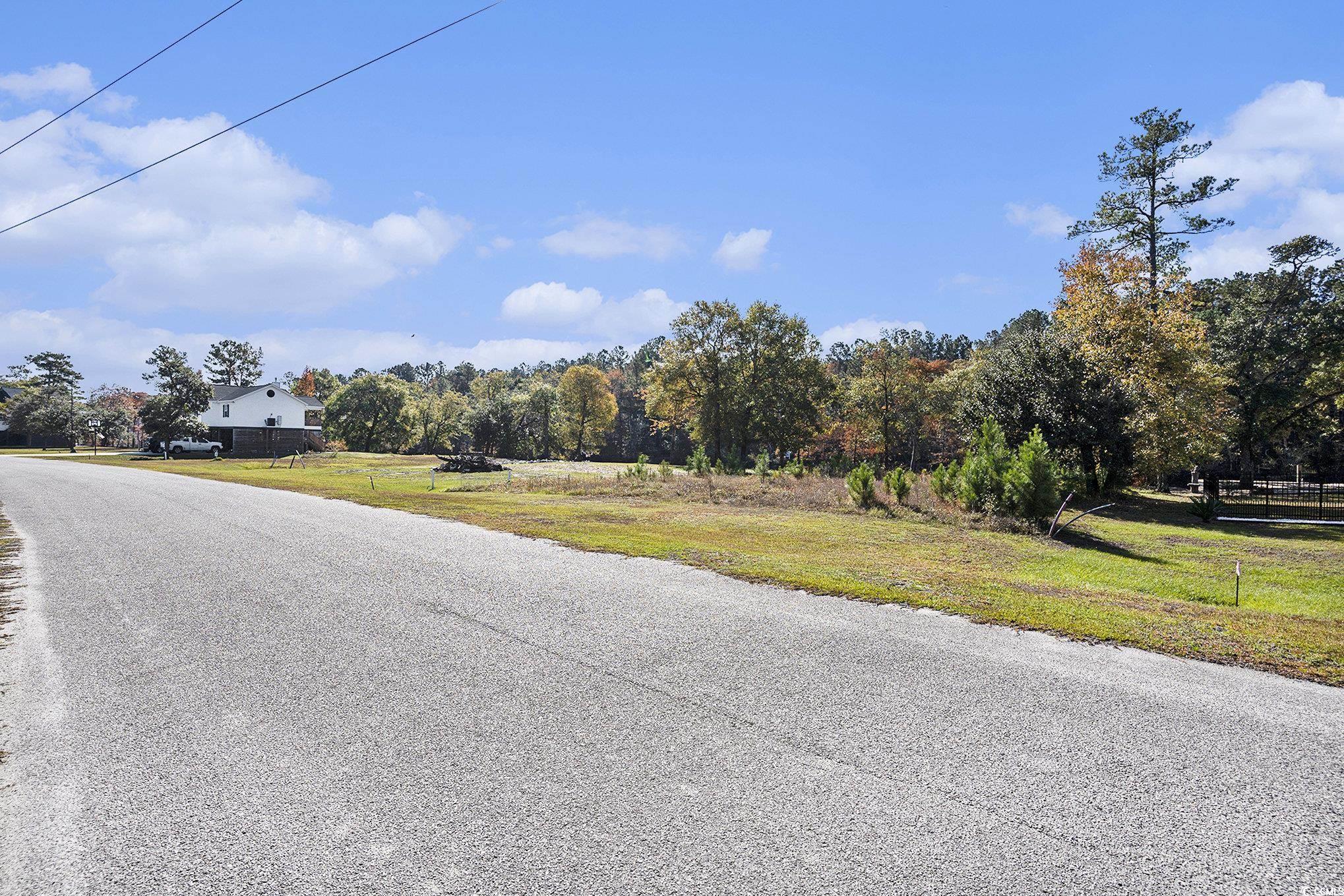 104 Lure Court Conway, SC 29526 - Photo 6 of 23 View of asphalt street with a view of countryside